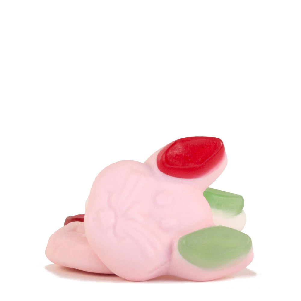 Katja Flappies – Soft Foamy Fruity Bunny Gums